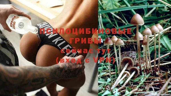 Альфа ПВП Заводоуковск