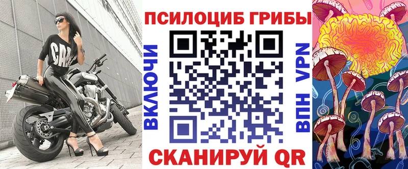Галлюциногенные грибы Cubensis  Купить  Волчанск 